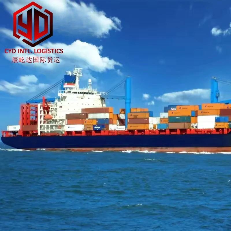 Agent de transport maritime